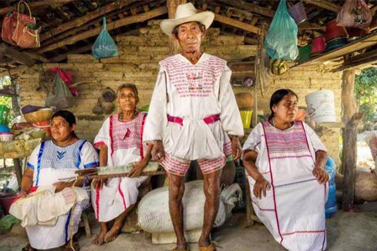 Tacuates
