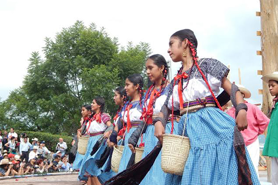 Tlapaneco