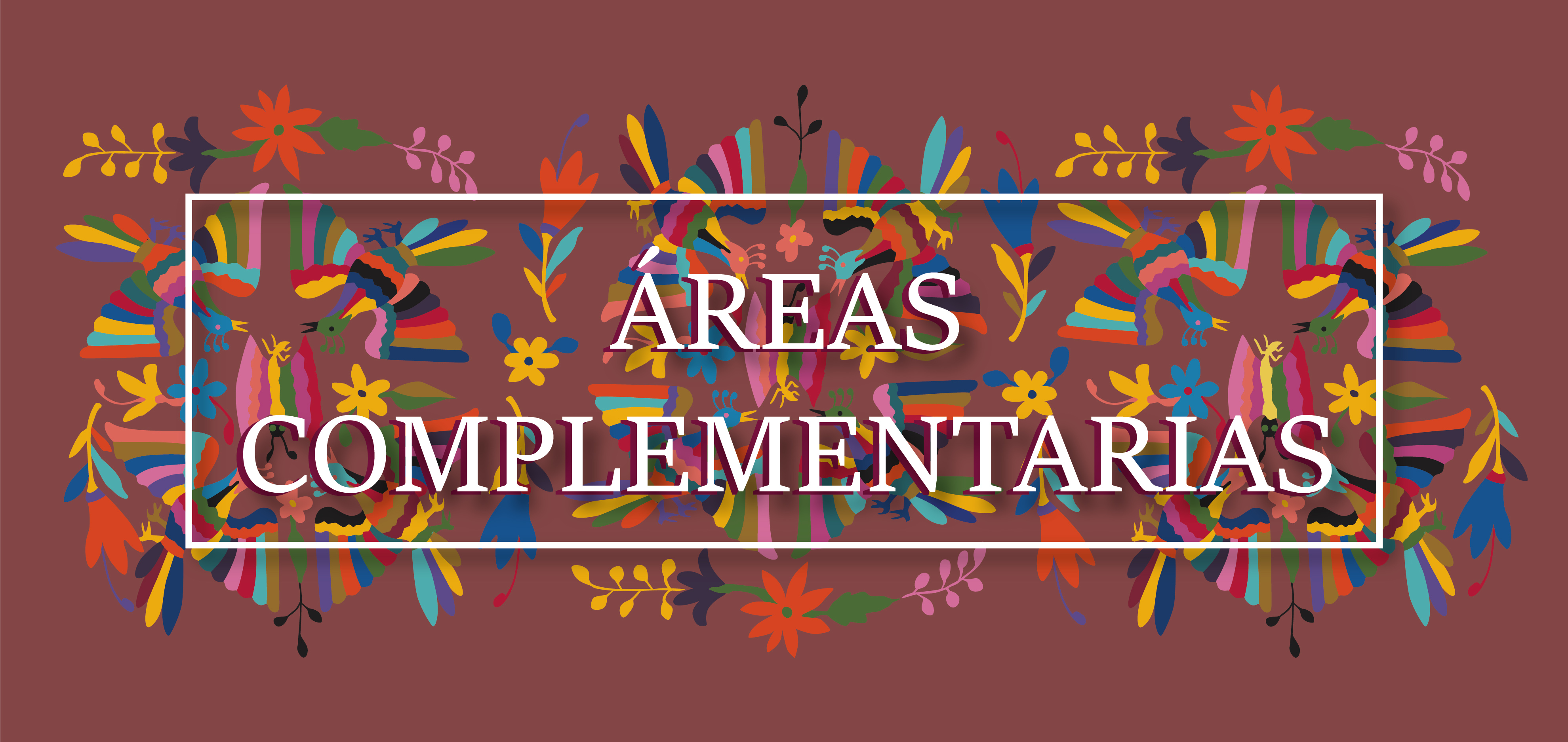 Logotipo complementarias